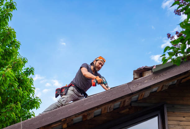 Best Siding Services  in Nice, CA