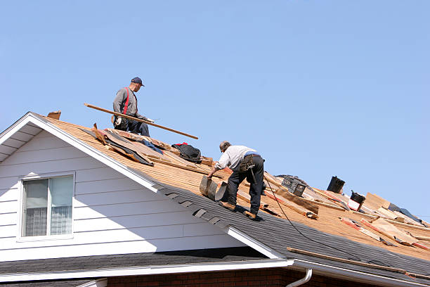 Best Roof Insulation Installation  in Nice, CA